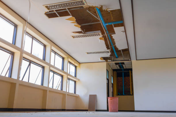 Best 24-hour water damage restoration  in Cashton, WI