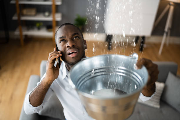Best Carpet water damage restoration  in Cashton, WI