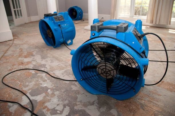 Best Commercial water damage restoration  in Cashton, WI