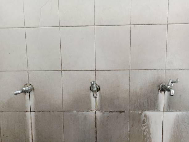 Best Sewage cleanup and water damage restoration  in Cashton, WI