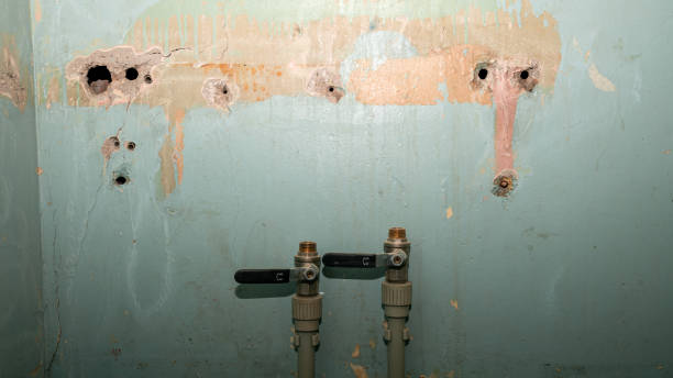 Best Water damage cleanup near me  in Cashton, WI