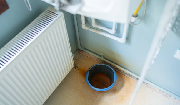 Best Water damage restoration mold remediation  in Cashton, WI