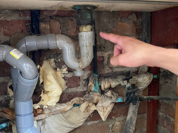  Cashton, WI Water damage restoration Pros