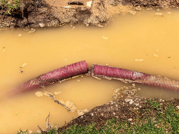 Best Water damage mitigation services  in Cashton, WI