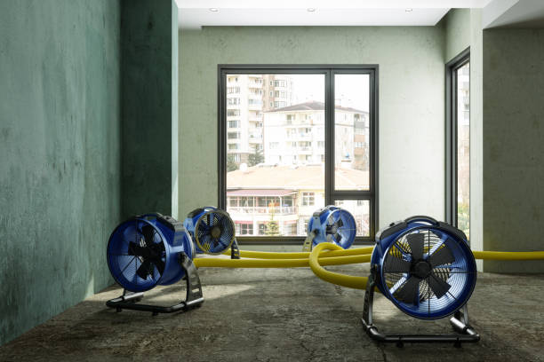 Best Water damage cleanup near me  in Cashton, WI